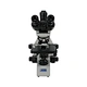 Trinocular Biological Microscope